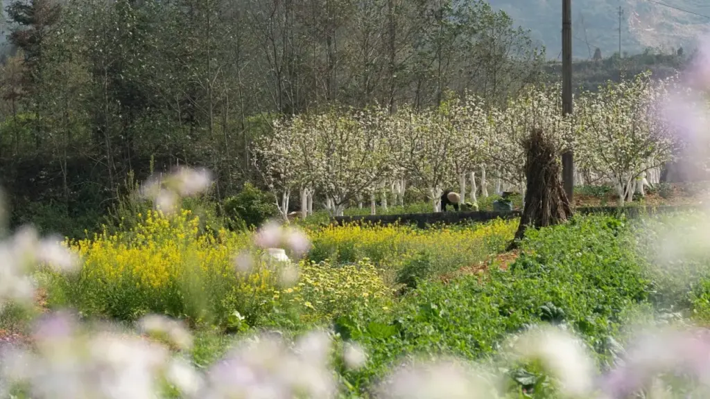 4 điểm đi chơi gần Hà Nội để né vé máy bay giá cao dịp Giỗ Tổ, 30/4