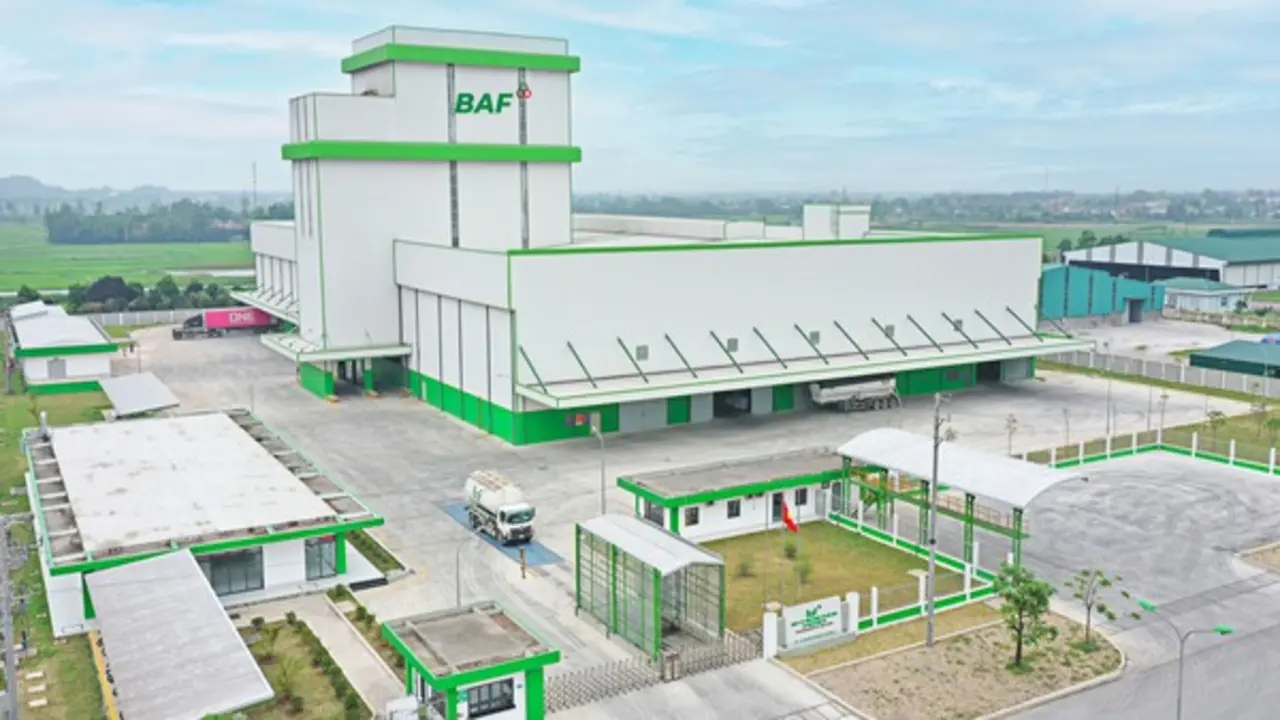 BAF vận hành thêm nhà máy cám heo ăn chay công suất 300.000 tấn/năm