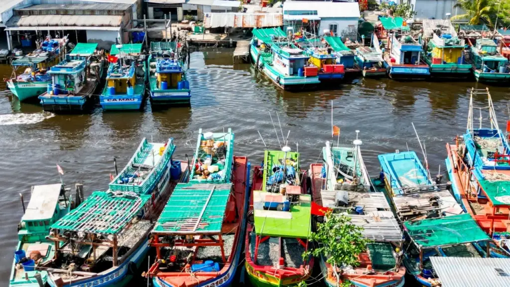 Cà Mau: 84 tàu cá nằm bờ, khẩn trương lập kịch bản chống đứt gãy cung ứng xăng dầu