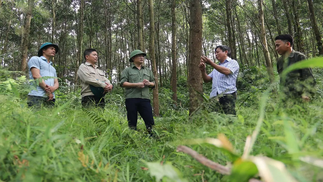 Cấm các hoạt động phát sinh nguồn lửa, nguồn nhiệt trong và ven rừng vì trời nắng nóng gay gắt