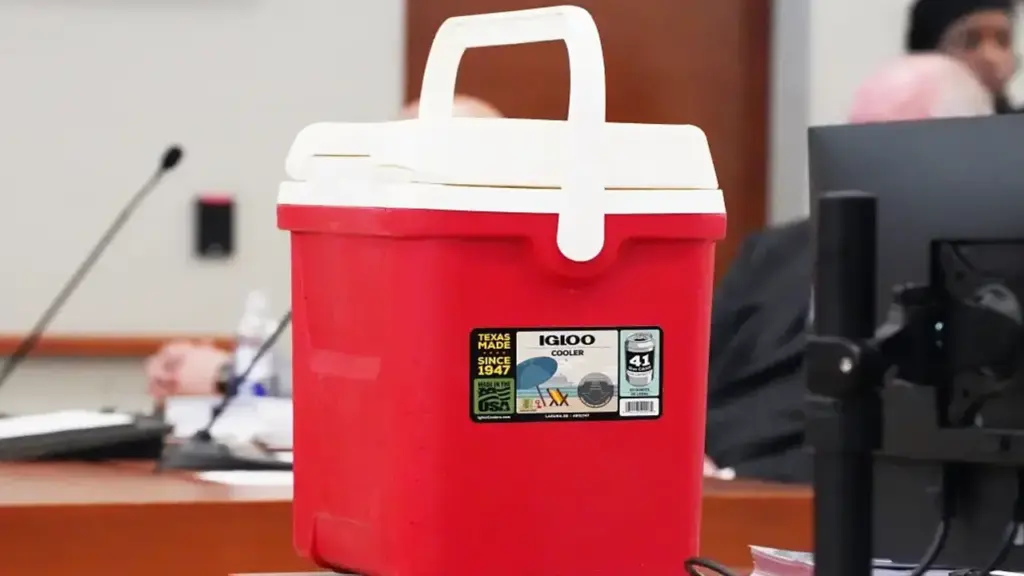 Cảnh sát Mỹ lãnh án tù vì ném thùng đá chặn nghi phạm