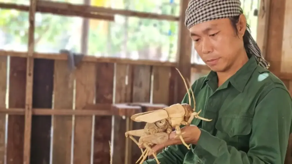 Chuyện chàng trai 8X 'thổi hồn' vào tre gai, tạo mô hình độc bản ở Tây Ninh