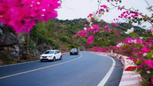 Cung đường Cát Bà đẹp như mơ