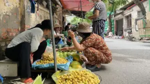 Cuộc 'trốn tìm' ở chợ cóc Hà Nội