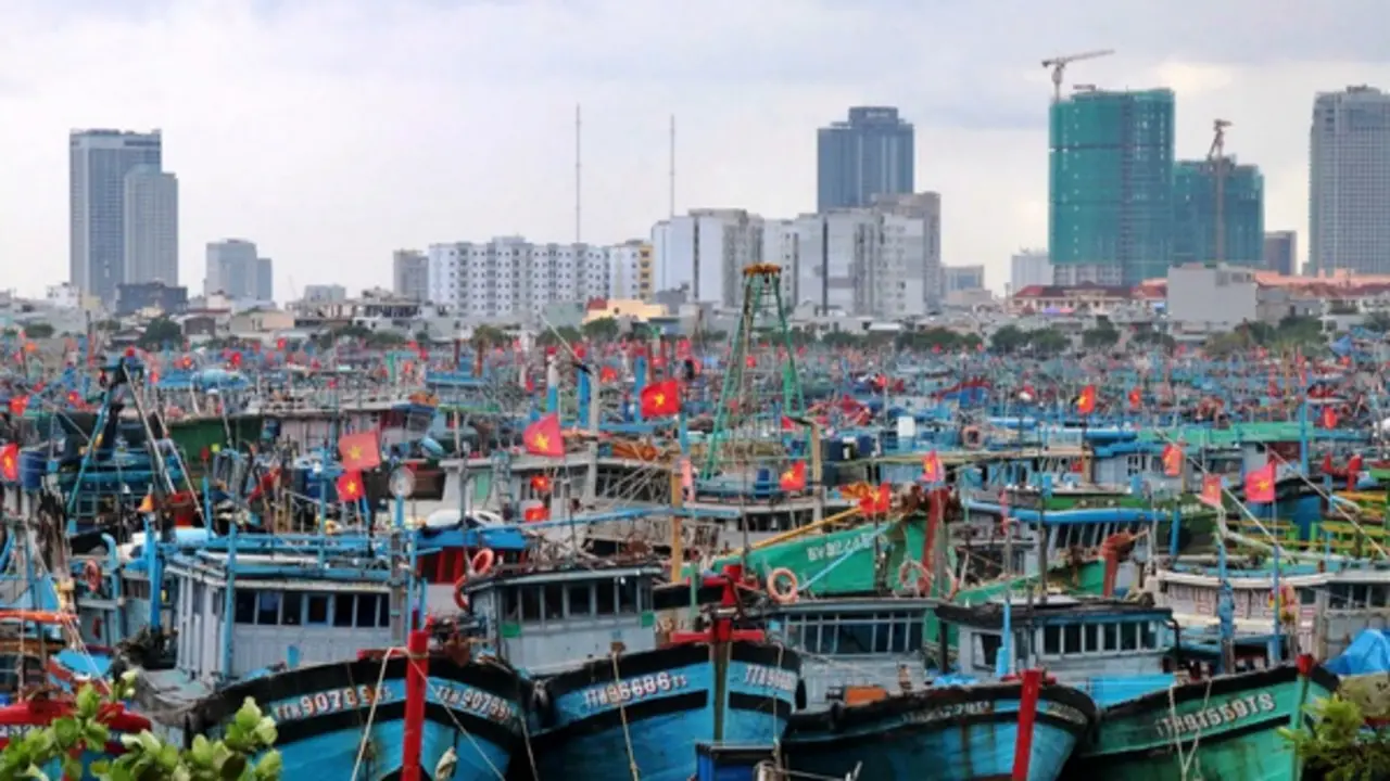 Đà Nẵng tính di dời cảng cá Thọ Quang, mở đường hình thành cảng du lịch