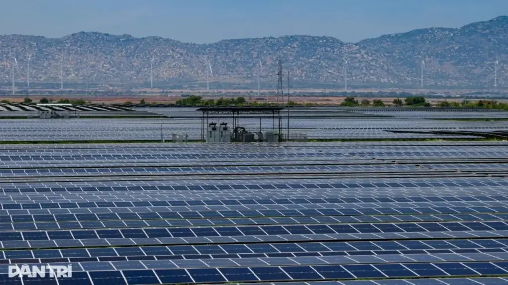 Doanh nghiệp điện mặt trời phân hóa mạnh: Kẻ báo lỗ, người lãi đậm