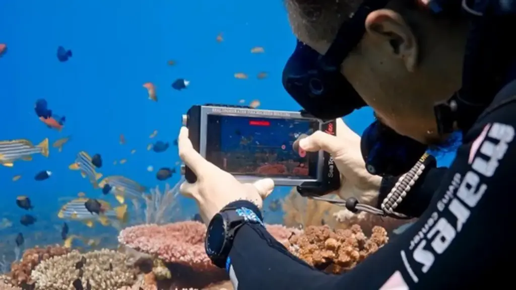 Galaxy S25 Ultra có thêm chế độ chụp ảnh dưới đáy biển