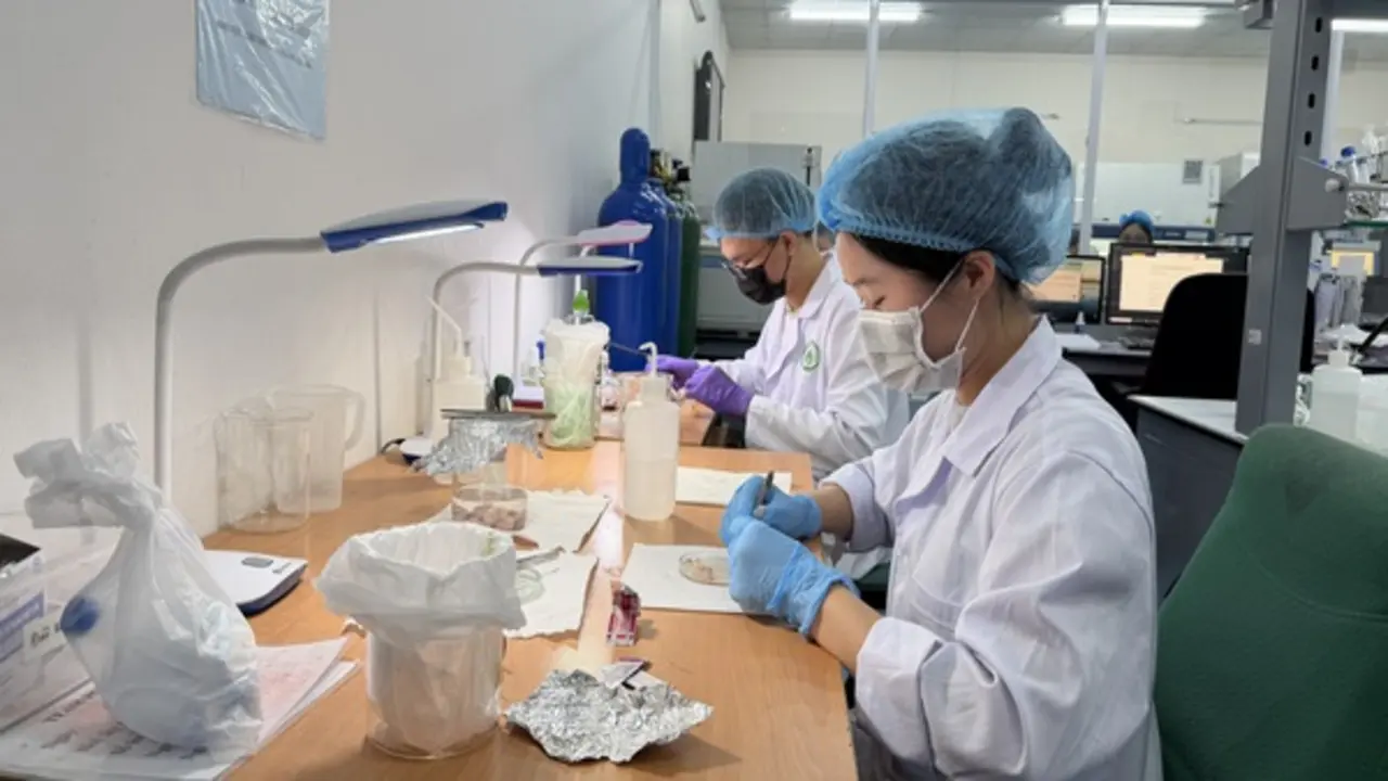 Giảng viên nào được giảm định mức giờ dạy tới 80%?