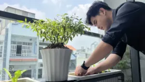 Giữa mùa nắng nóng gay gắt, vì sao người trẻ đổ xô trồng cây ở ban công?