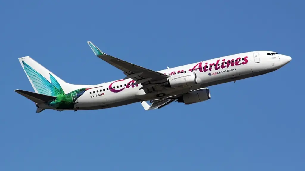 Hành khách sinh con trên máy bay