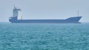 Iran tuyên bố bắt giữ 2 tàu cố vượt qua eo biển Hormuz