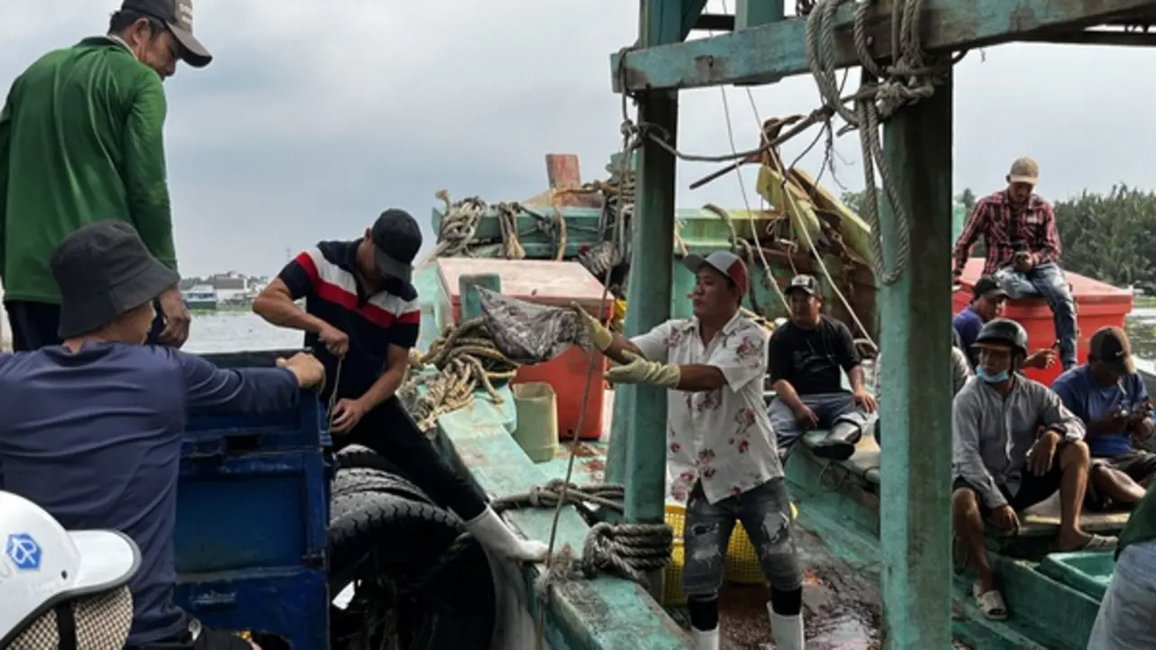 Khởi tố 55 vụ vi phạm khai thác thủy sản, An Giang quyết liệt gỡ 'thẻ vàng' IUU