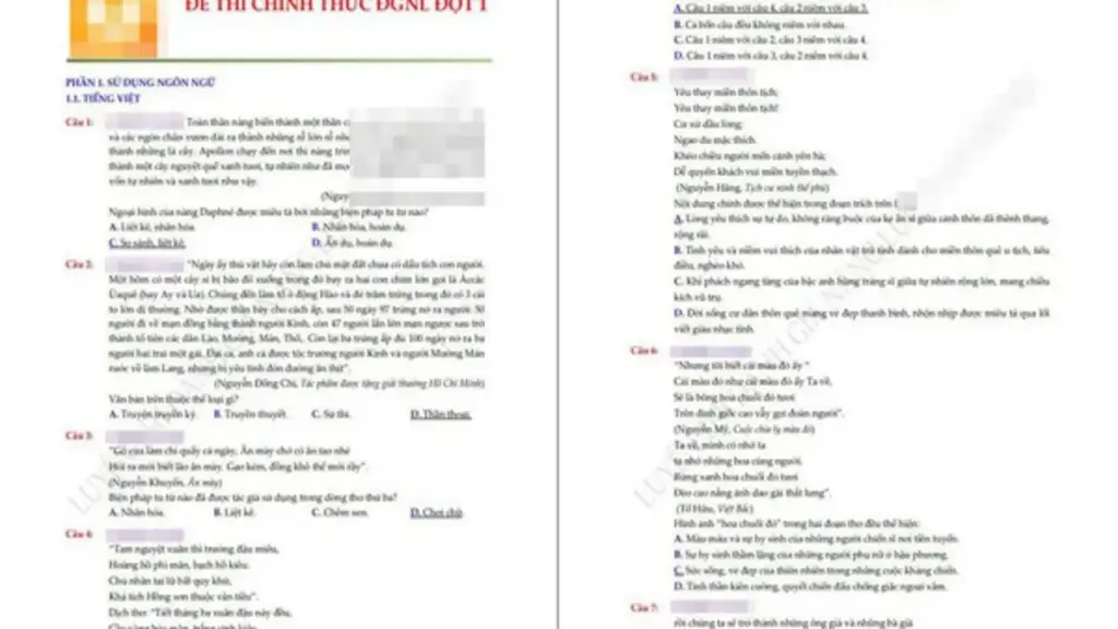 Lan truyền đề thi đánh giá năng lực tự biên 'giống hoàn toàn' đề chính thức