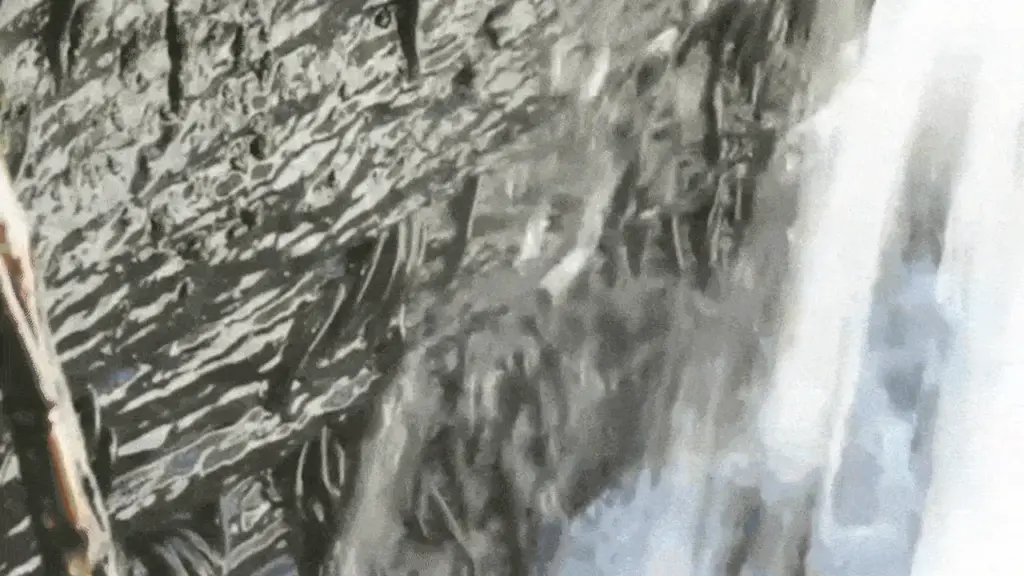 Loài cá leo vách đá 10 tiếng để vượt thác