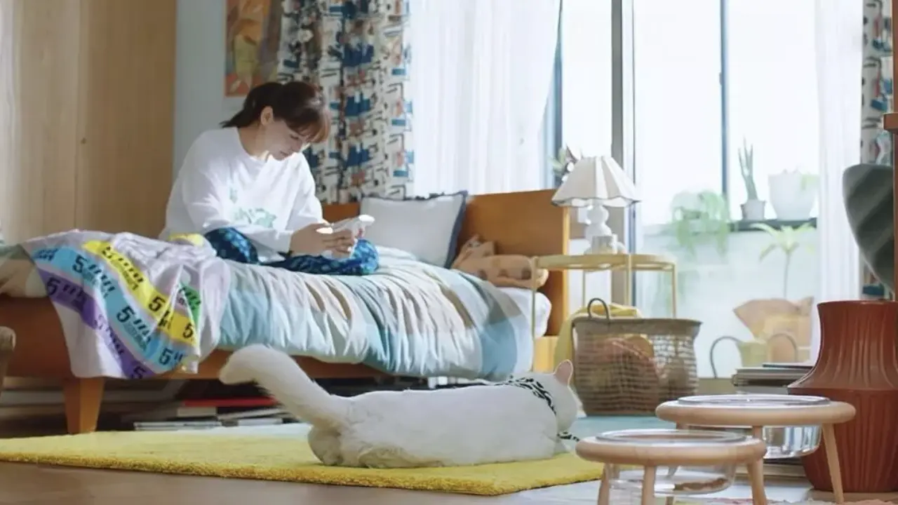 Lý do giới trung lưu Trung Quốc đi thuê thay vì mua nhà