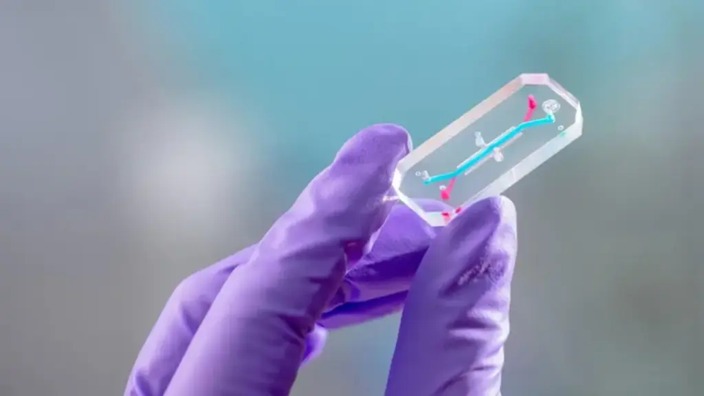 NASA gửi 'chip nội tạng' phi hành gia Artemis II lên vũ trụ để làm gì?