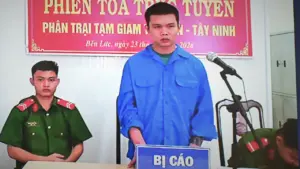 Người lái xe bán tải tông CSGT bị phạt hơn một năm tù