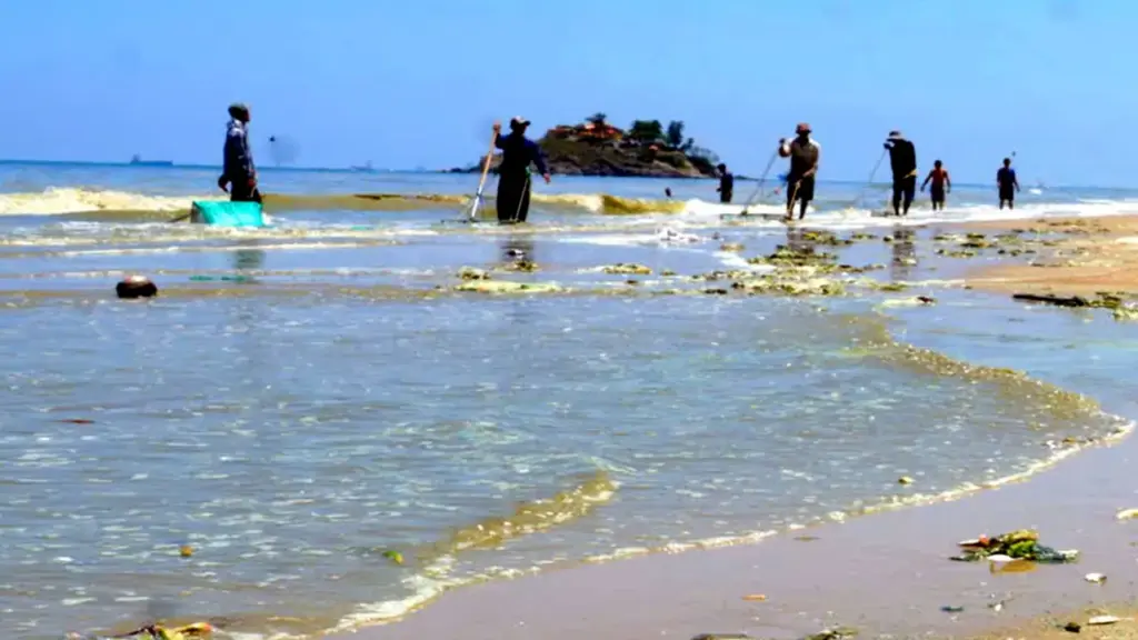 Nước biển ở Vũng Tàu đổi màu xanh, tím nghi do vi tảo