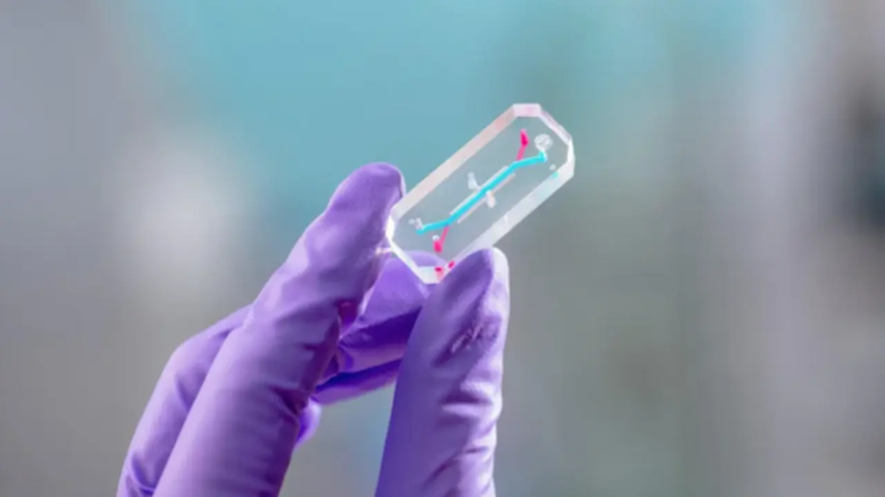 Thí nghiệm trên người ở Artemis 2 cho những chuyến đi xa hơn vào vũ trụ