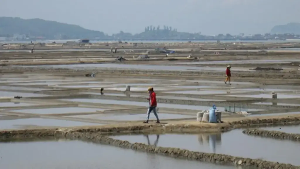 Trớ trêu ở Sa Huỳnh: Giá muối tăng nhưng diêm dân lại… không còn muối