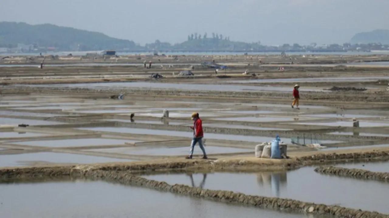 Trớ trêu ở Sa Huỳnh: Giá muối tăng nhưng diêm dân lại… không còn muối
