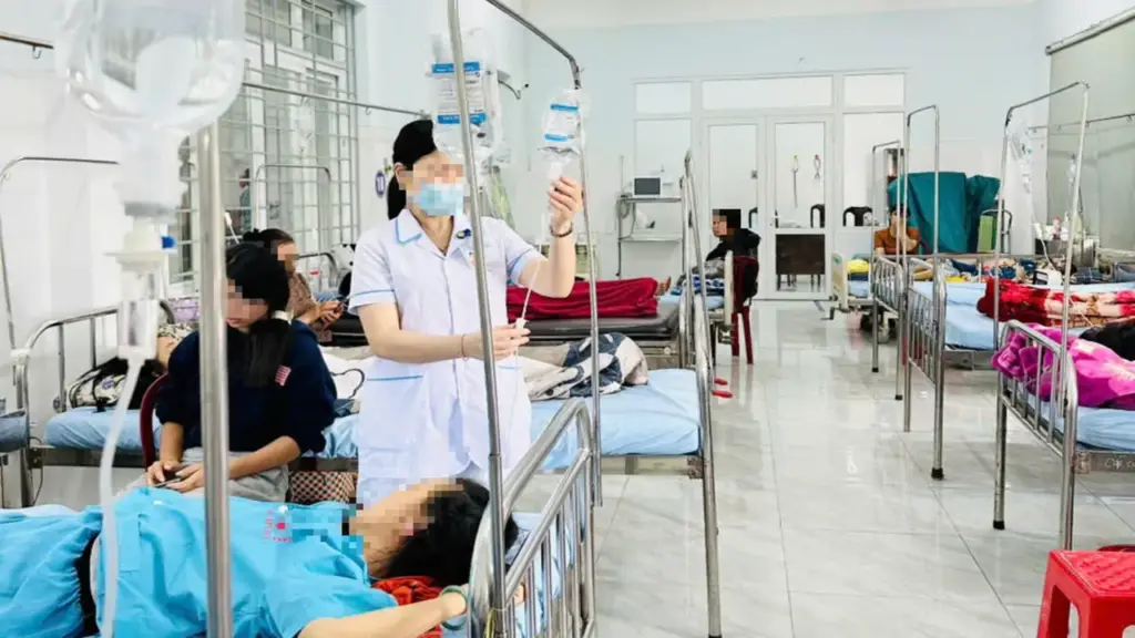 Vụ 86 người ngộ độc sau ăn bánh mì ở Đắk Lắk: Do vi khuẩn Salmonella