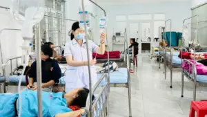 Vụ 86 người ngộ độc sau ăn bánh mì ở Đắk Lắk: Do vi khuẩn Salmonella