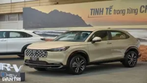 Xe hybrid tăng mạnh tiêu thụ sau khi được áp thuế tiêu thụ đặc biệt mới